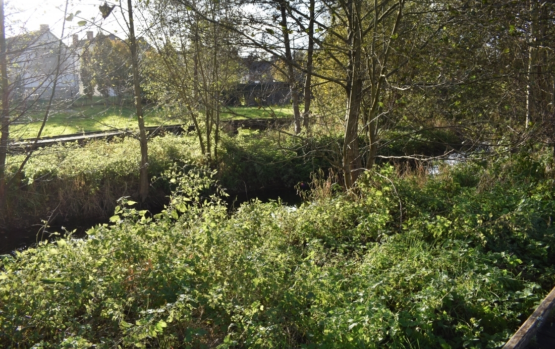 Ecrin de verdure - Pr&eacute; de Coss&eacute;