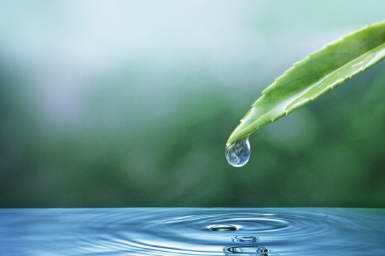 restrictions d'eau
