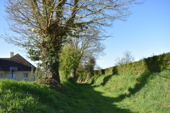 Chemin p&eacute;destre lotissement de la Min&eacute;e - Coss&eacute;-le-Vivien