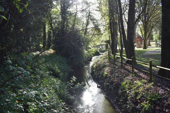Pr&eacute; de Coss&eacute; - Coss&eacute;-le-Vivien