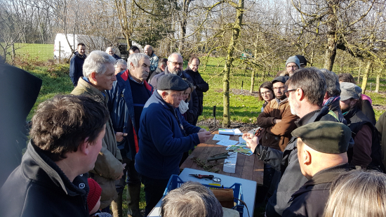 banque de greffons verger pomologique coss&eacute;-le-vivien
