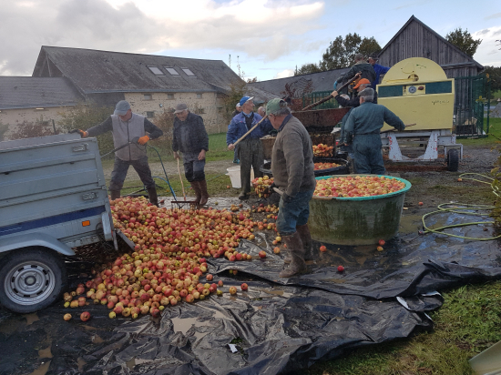 apr&egrave;s la r&eacute;colte des pommes