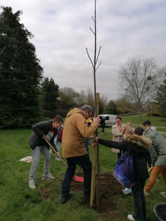 arbre des naissances 2024