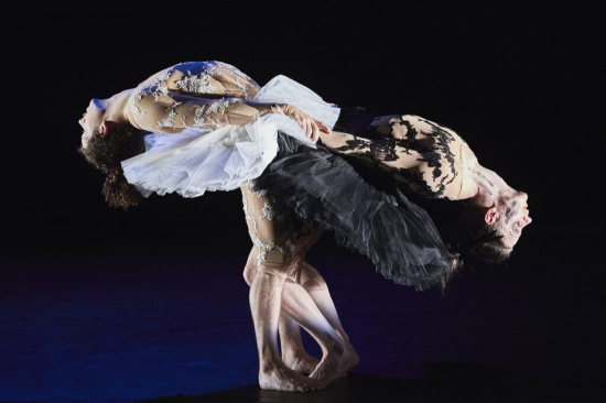 Le Lac des Cygnes © Christophe Raynaud Delage