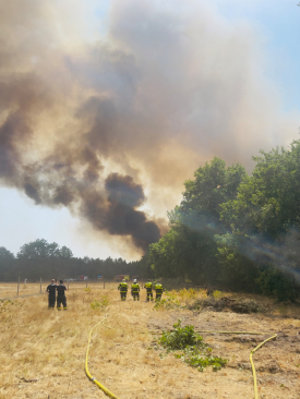 Feu de forêt en Gironde