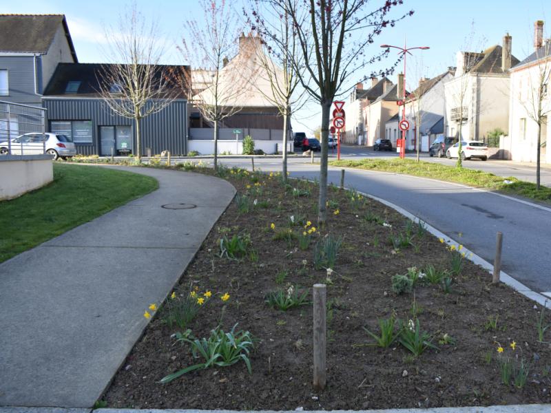 Gestion différenciée des espaces verts 